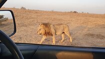 8 Days 7 Nights Safari Package in Kenya Private Tour