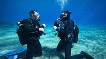 Private Scuba Diving in Tenerife – Certified Instructor & Photos