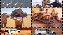 SMALL SAHARA & SILVER CITY- MASSA & TIZNIT IN 4x4 WITH LUNCH IN BERBER STYLE