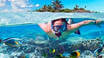 Full package Dune Buggy and Snorkeling Cruise