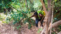 Conquer the Outdoors: Hike, Abseil, Kayak & Paintball Adventure