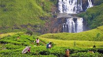 Private tour start from Colombo airport 4 person for 7 N / 8 days
