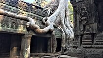 Angkor Iconic Temples with Sunrise
