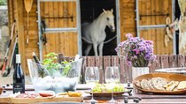Wine tasting at Quinta das Murgas