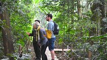 Ninh Binh 2Days/1Night With Boat Trip & Cuc Phuong National Park