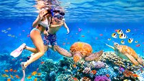 Waikiki Catamaran Escape: Snorkel with Turtles & Water Sports Fun