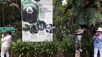 Full-Day Sepilok Orangutan,Sun Bear & Sandakan City Trail from Kota Kinabalu