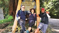 Full Day Private Hiking Tour to Kilimanjaro Mountain
