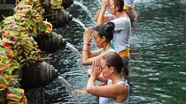 Ubud Tour - Balinese Healing By Shaman And Self Purification 