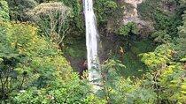 Jakarta Bogor Botanical Garden, Waterfall and Rice terrace, Lunch