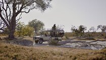 8 Day Chobe NP, Elephant Sands, Okavango Delta & Victoria Falls