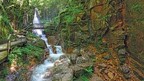 Full-Day Tour from Boston: Lost River and Flume Gorge Adventure