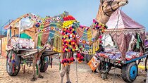 Private Same Day Trip to Pushkar from Jaipur