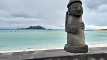 1 Day Free schedule Tour a lot of experince driver in jeju island