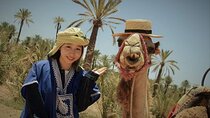 Marrakech: Camels & Quads on Sunset with Luxury Dinner, Fireshow
