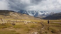 Ausangate Trek 4 Days - Huaynas Expeditions
