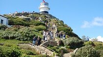 Bo Kaap Cape Point Penguins at Boulders Beach Cape Town
