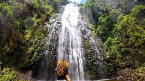Day trip to Materuni waterfall, Coffee tour and Moshi Nightlife