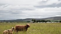 Private Full-Day Tour to the Scottish Highlands and Loch Ness