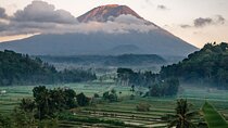 Bali Private Driver For Tour in Bali