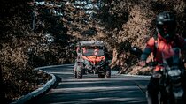 Private Tour to Hobbitenango by Mule and Buggy