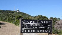 Table Mountain, Cape Point, and Penguins Boulders Beach Cape Town