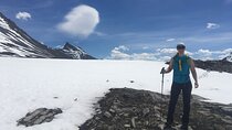 Wilcox Pass