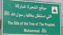 Private Journey to Prophet Muhammad’s Tree & Cave of the Sleepers