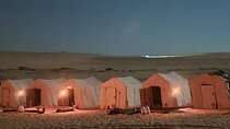 7 Days Tour to Siwa Oais and Alexandria from Cairo