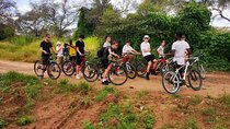 Bicycle Hire