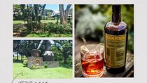 Private Hampden Estate Rum Tour from Montego Bay or Falmouth