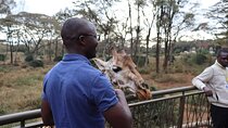 The Ultimate Nairobi City Tour & Giraffe Feeding Experience