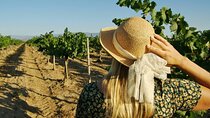 5 Days Food Wine and Culture West Sicily Tour In Palermo