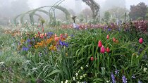 Audio Tour in Giverny and Versailles with Pick up and Drop off 