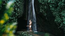 Sangeh Monkey Forest, Jatiluwih & Batukaru Temple Tour