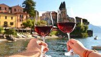 Panoramic Wine Tasting in Bellagio area