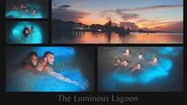 Private Tour in the Glistening Waters from Montego Bay