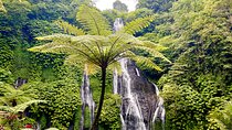 Bali Secret Waterfalls: Banyumala & Leke Leke Waterfalls