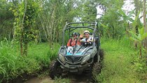 Buggy Driving