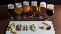 Santorini in a bottle: Craft beer, Wine and Ouzo tasting 