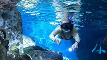 Best in Class: Private Snorkeling Xpedition