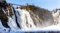 Private 4 hours tour of Rhine Falls from Zurich