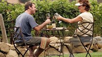  Solvang Santa Ynez Valley Small Group All-Inclusive Wine Tour 