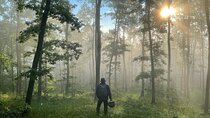 Culinary Adventure To The Fungi And Botanical Kingdom Of Bulgaria