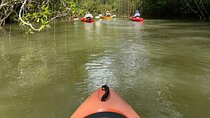 Kayak Mangrove Tour in Manuel Antonio 
