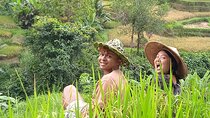 Private Half Day Heritage and Cultural Ubud Tour - All Inclusive