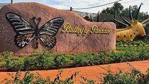 Life on the Lake & Nature's Beauty: Mechrey & Butterfly Paradise