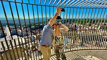 Rome St.Peter Dome, Basilica, Grottoes Morning Private Tour