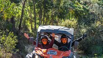 Half Day Getaway Buggy Tour