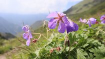 1 day Ala-Archa gorge tour